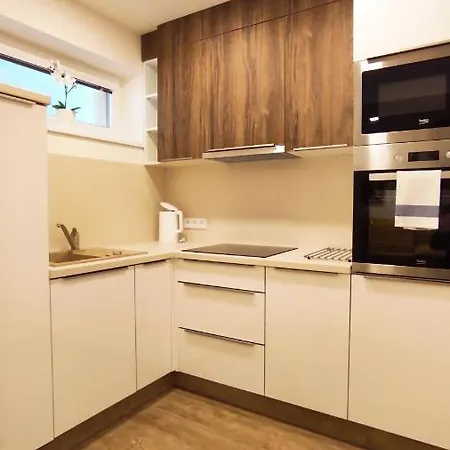 Na Vyhlidce Apartment Paseka (Olomouc)